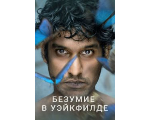 Безумие в Уэйкфилде 1 сезон   